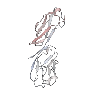 27208_8d5c_F_v1-2
anti-HIV-1 gp120-sCD4 complex antibody CG10 Fab in complex with B41-sCD4