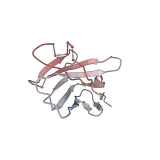 27208_8d5c_I_v1-2
anti-HIV-1 gp120-sCD4 complex antibody CG10 Fab in complex with B41-sCD4