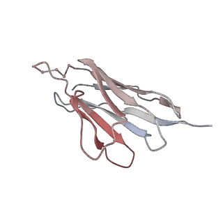 27208_8d5c_J_v1-2
anti-HIV-1 gp120-sCD4 complex antibody CG10 Fab in complex with B41-sCD4