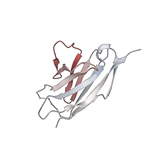 27208_8d5c_L_v1-2
anti-HIV-1 gp120-sCD4 complex antibody CG10 Fab in complex with B41-sCD4