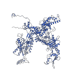 30578_7d59_A_v1-1
cryo-EM structure of human RNA polymerase III in apo state