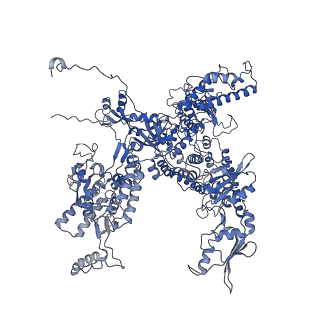 30578_7d59_A_v1-2
cryo-EM structure of human RNA polymerase III in apo state