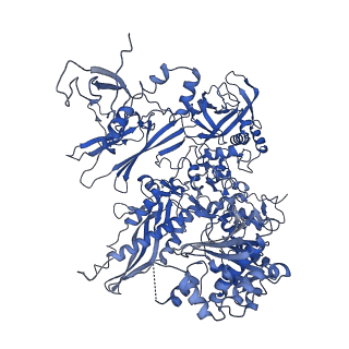 30578_7d59_B_v1-1
cryo-EM structure of human RNA polymerase III in apo state