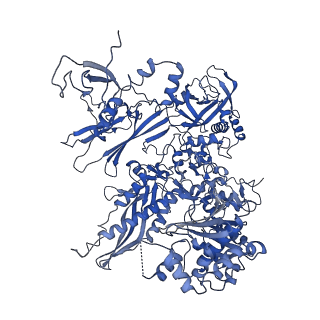 30578_7d59_B_v1-2
cryo-EM structure of human RNA polymerase III in apo state