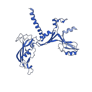 30578_7d59_C_v1-2
cryo-EM structure of human RNA polymerase III in apo state