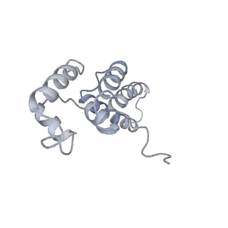 30578_7d59_D_v1-1
cryo-EM structure of human RNA polymerase III in apo state