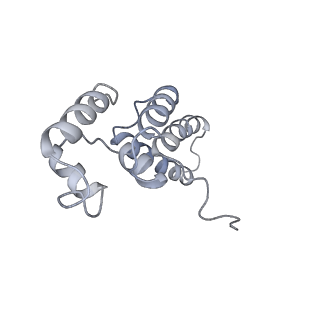 30578_7d59_D_v1-2
cryo-EM structure of human RNA polymerase III in apo state