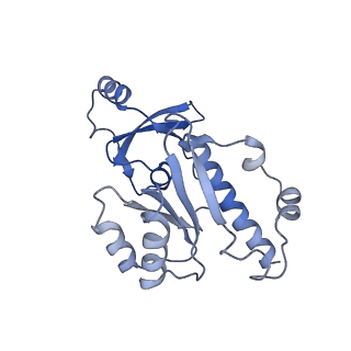 30578_7d59_E_v1-1
cryo-EM structure of human RNA polymerase III in apo state