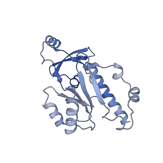 30578_7d59_E_v1-2
cryo-EM structure of human RNA polymerase III in apo state