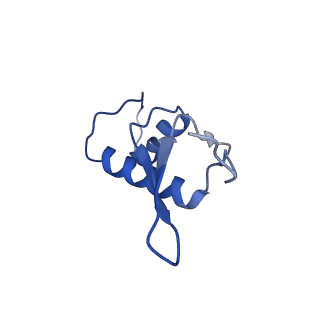 30578_7d59_F_v1-2
cryo-EM structure of human RNA polymerase III in apo state