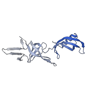 30578_7d59_G_v1-1
cryo-EM structure of human RNA polymerase III in apo state