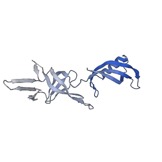 30578_7d59_G_v1-2
cryo-EM structure of human RNA polymerase III in apo state