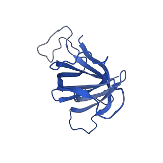 30578_7d59_H_v1-1
cryo-EM structure of human RNA polymerase III in apo state