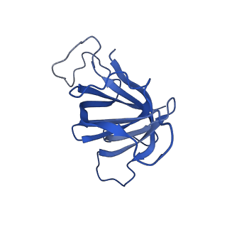 30578_7d59_H_v1-2
cryo-EM structure of human RNA polymerase III in apo state