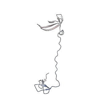 30578_7d59_I_v1-2
cryo-EM structure of human RNA polymerase III in apo state