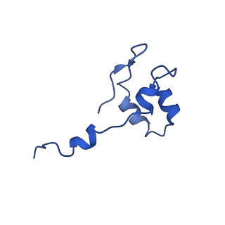30578_7d59_J_v1-1
cryo-EM structure of human RNA polymerase III in apo state