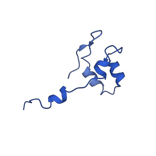 30578_7d59_J_v1-2
cryo-EM structure of human RNA polymerase III in apo state