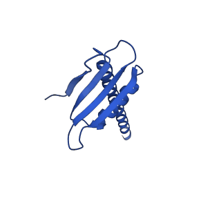 30578_7d59_K_v1-1
cryo-EM structure of human RNA polymerase III in apo state