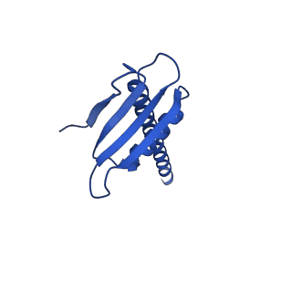 30578_7d59_K_v1-2
cryo-EM structure of human RNA polymerase III in apo state