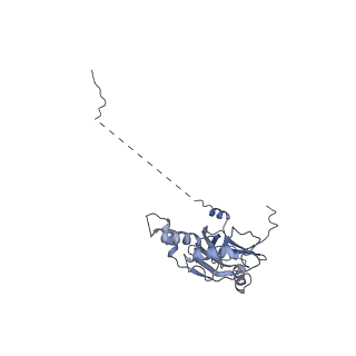 30578_7d59_M_v1-2
cryo-EM structure of human RNA polymerase III in apo state