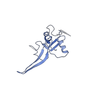 30578_7d59_N_v1-2
cryo-EM structure of human RNA polymerase III in apo state