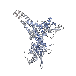 30578_7d59_O_v1-1
cryo-EM structure of human RNA polymerase III in apo state