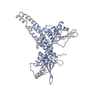 30578_7d59_O_v1-2
cryo-EM structure of human RNA polymerase III in apo state