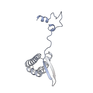 30578_7d59_P_v1-1
cryo-EM structure of human RNA polymerase III in apo state