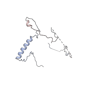 30578_7d59_Q_v1-2
cryo-EM structure of human RNA polymerase III in apo state