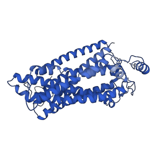30582_7d5i_A_v1-1
Structure of Mycobacterium smegmatis bd complex in the apo-form.