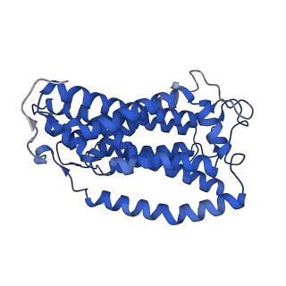 30582_7d5i_B_v1-1
Structure of Mycobacterium smegmatis bd complex in the apo-form.