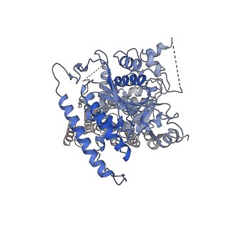 30583_7d5k_A_v1-1
CryoEM structure of cotton cellulose synthase isoform 7