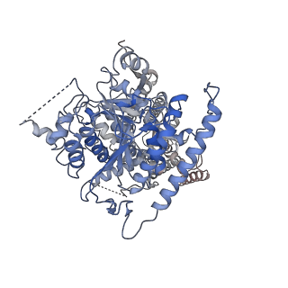 30583_7d5k_B_v1-1
CryoEM structure of cotton cellulose synthase isoform 7
