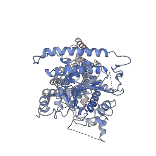 30583_7d5k_C_v1-1
CryoEM structure of cotton cellulose synthase isoform 7
