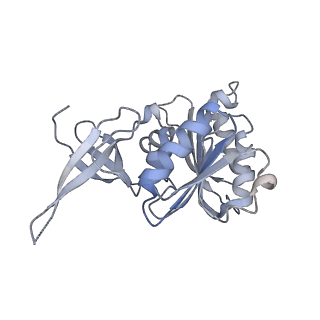 30584_7d5s_3B_v1-0
Cryo-EM structure of 90S preribosome with inactive Utp24 (state A2)