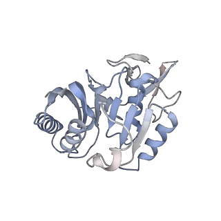 30584_7d5s_3C_v1-0
Cryo-EM structure of 90S preribosome with inactive Utp24 (state A2)