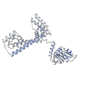 30584_7d5s_3D_v1-0
Cryo-EM structure of 90S preribosome with inactive Utp24 (state A2)