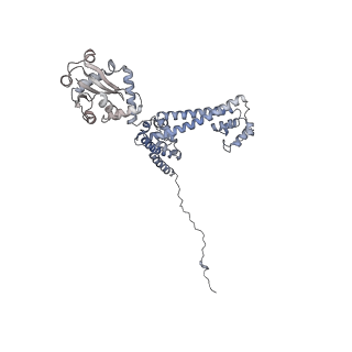 30584_7d5s_3E_v1-0
Cryo-EM structure of 90S preribosome with inactive Utp24 (state A2)