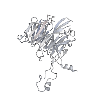 30584_7d5s_3F_v1-0
Cryo-EM structure of 90S preribosome with inactive Utp24 (state A2)