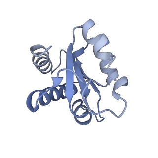 30584_7d5s_3G_v1-0
Cryo-EM structure of 90S preribosome with inactive Utp24 (state A2)