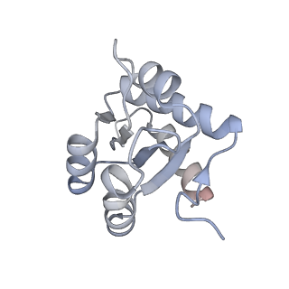 30584_7d5s_3H_v1-0
Cryo-EM structure of 90S preribosome with inactive Utp24 (state A2)