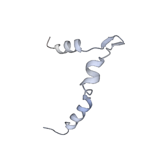 30584_7d5s_5B_v1-0
Cryo-EM structure of 90S preribosome with inactive Utp24 (state A2)