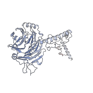 30584_7d5s_5C_v1-0
Cryo-EM structure of 90S preribosome with inactive Utp24 (state A2)