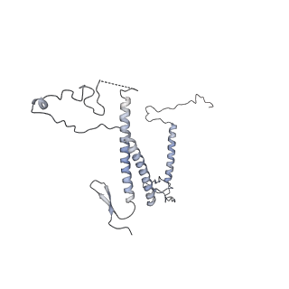 30584_7d5s_5D_v1-0
Cryo-EM structure of 90S preribosome with inactive Utp24 (state A2)