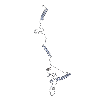 30584_7d5s_5E_v1-0
Cryo-EM structure of 90S preribosome with inactive Utp24 (state A2)