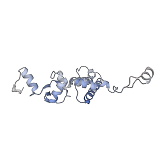 30584_7d5s_5F_v1-0
Cryo-EM structure of 90S preribosome with inactive Utp24 (state A2)