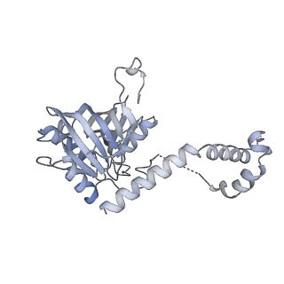 30584_7d5s_5G_v1-0
Cryo-EM structure of 90S preribosome with inactive Utp24 (state A2)