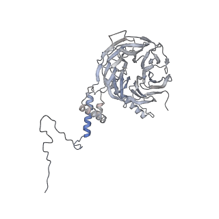 30584_7d5s_5I_v1-0
Cryo-EM structure of 90S preribosome with inactive Utp24 (state A2)