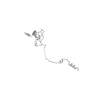 30584_7d5s_5J_v1-0
Cryo-EM structure of 90S preribosome with inactive Utp24 (state A2)