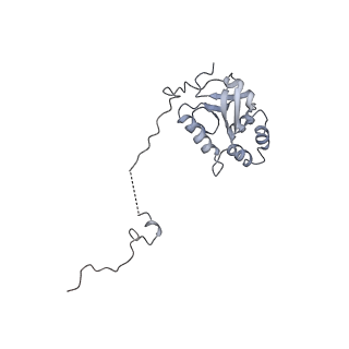 30584_7d5s_5K_v1-0
Cryo-EM structure of 90S preribosome with inactive Utp24 (state A2)